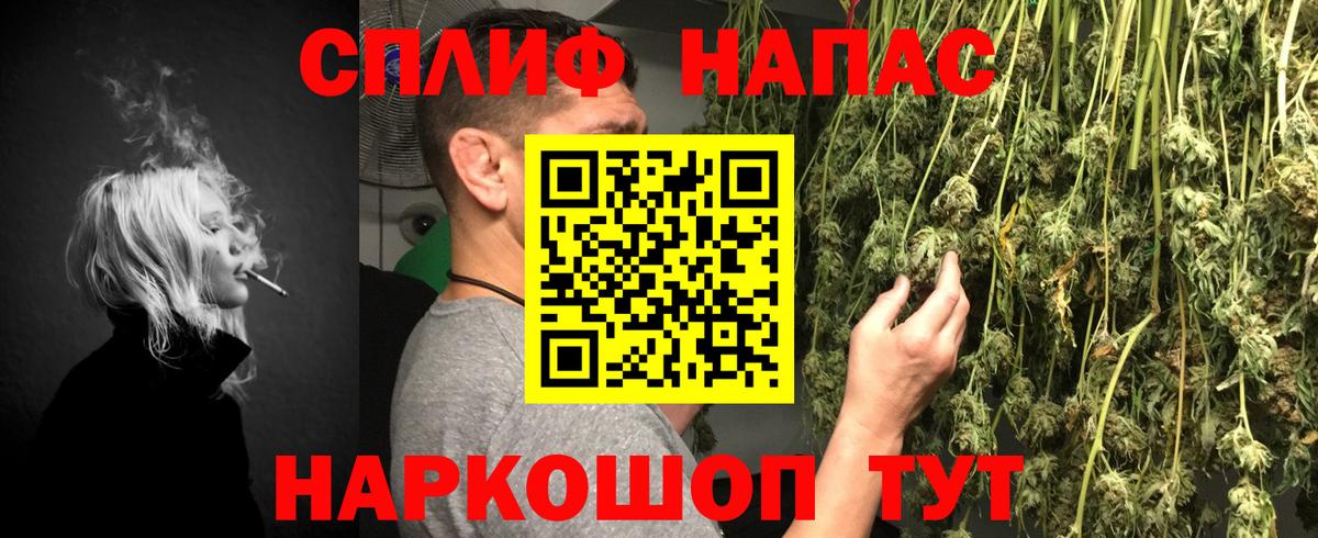Шишки марихуана конопля Бийск